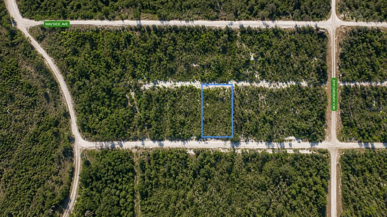 612 Scaup Ave., Sebring, FL 33872