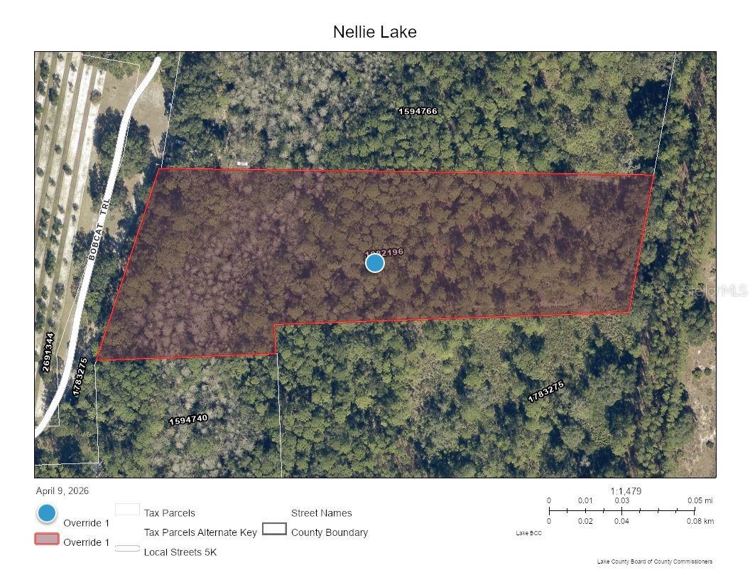 5250 Lake Nellie Rd., Clermont, FL 34714