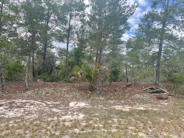 1342 Homosassa Dr., Poinciana, FL 34759