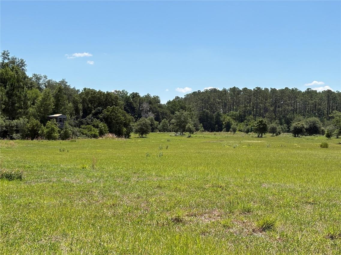 Greenbriar Rd., Lakeland, FL 33810