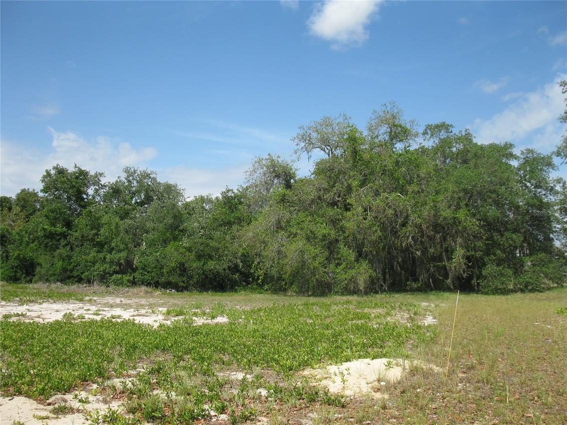 4199 Jacaranda Dr., Lake Wales, FL 33898