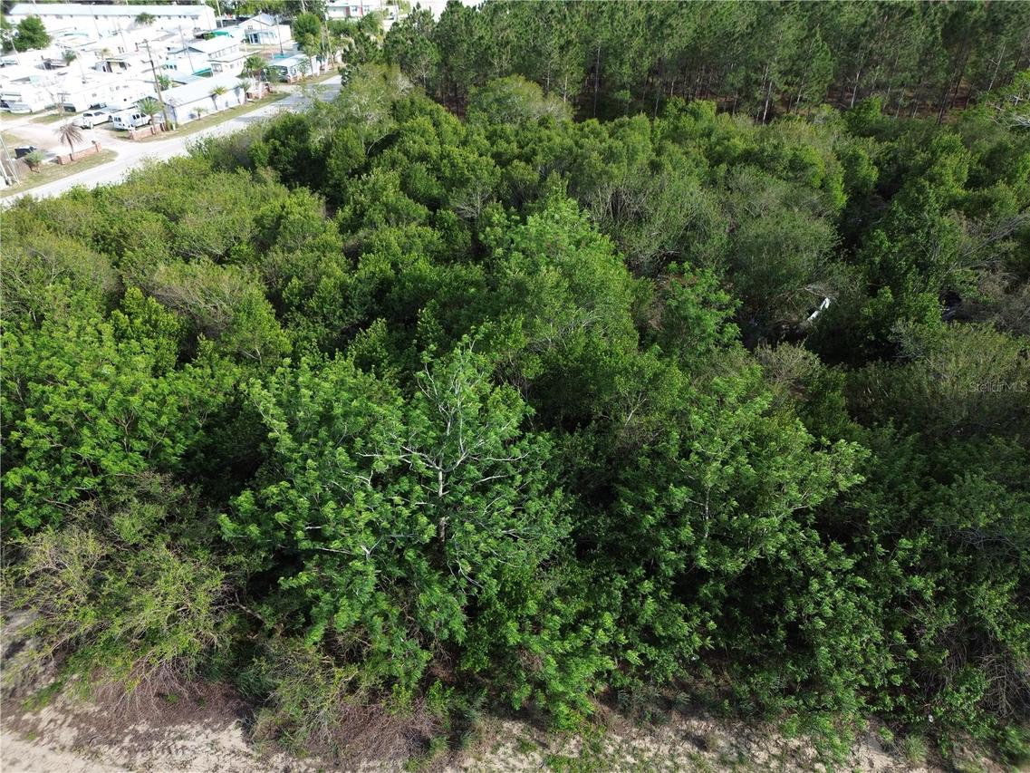 3055 Sr-17, Sebring, FL 33870