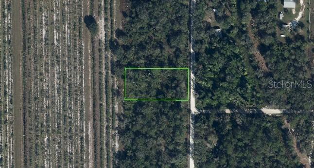 486 Kulwicki Dr., Venus, FL 33960