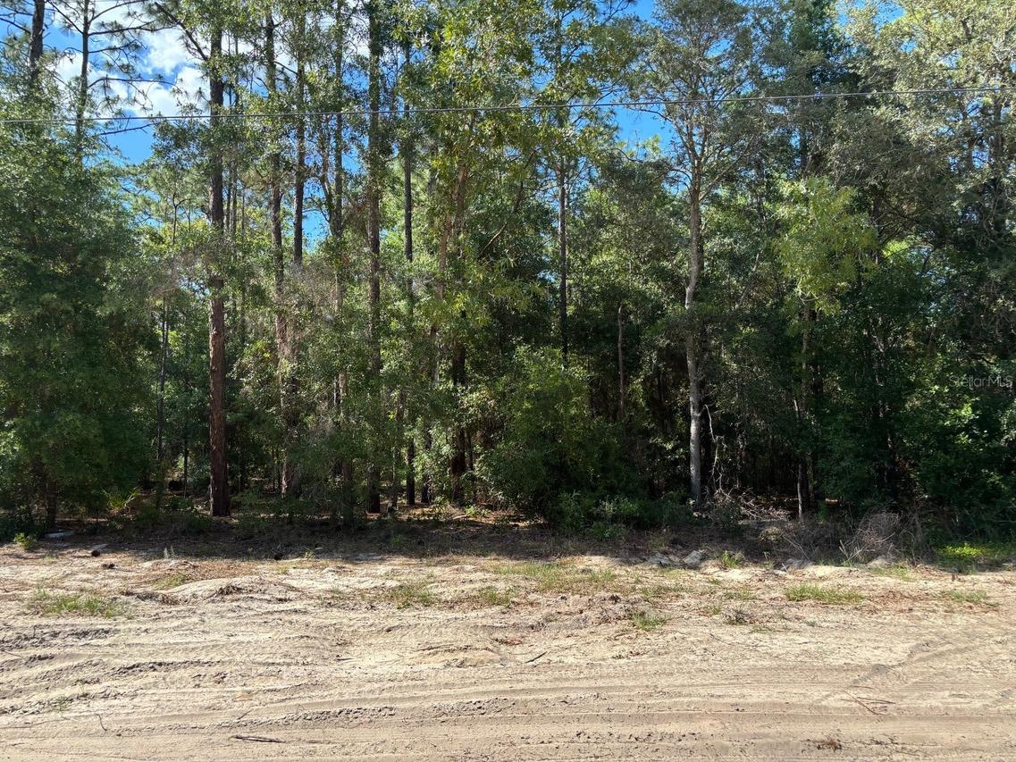 0A Sw 93rd Pl., Dunnellon, FL 34432