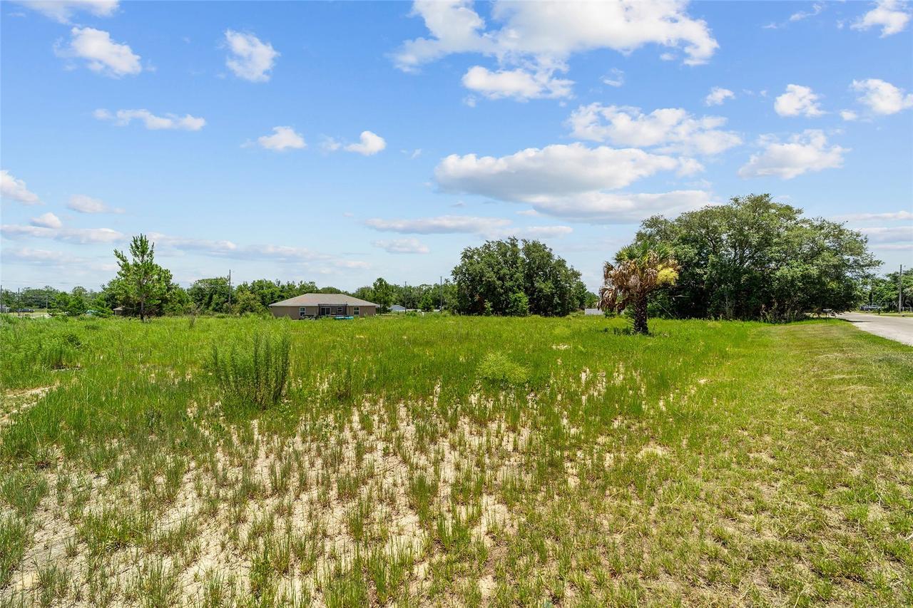 Malauka Loop, Ocklawaha, FL 32179