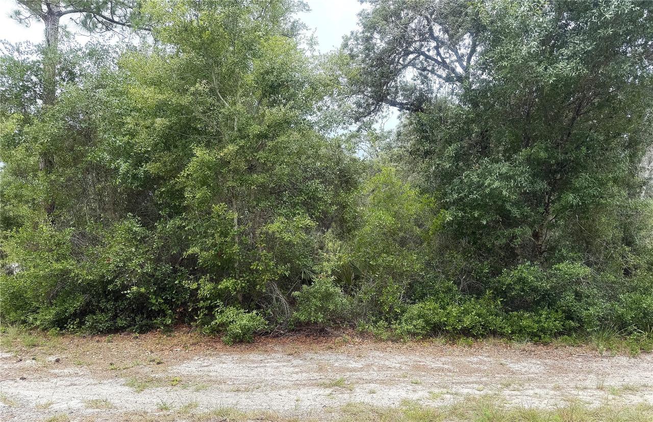 359 Coolidge Ave., Lake Placid, FL 33852