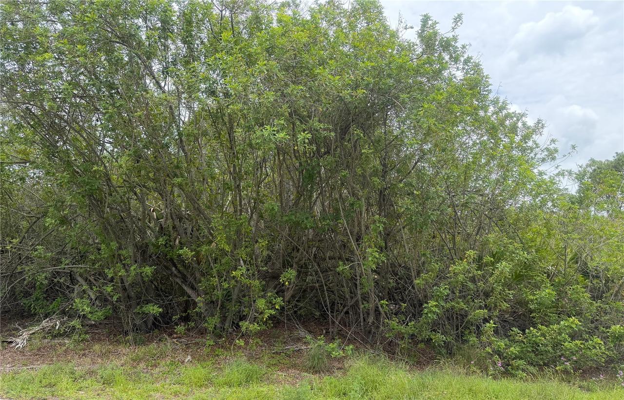 140 Fillmore Ave., Lake Placid, FL 33852
