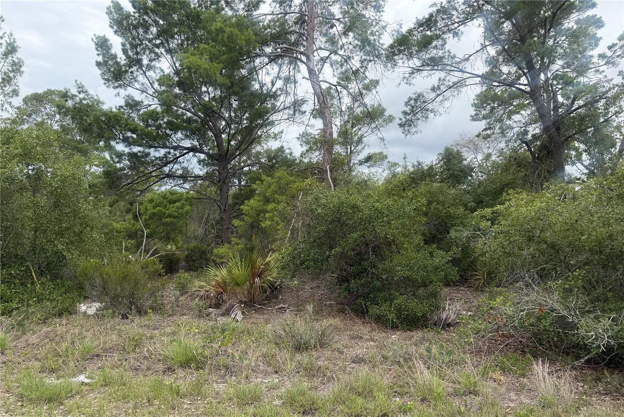 105 Hoover Ave., Lake Placid, FL 33852