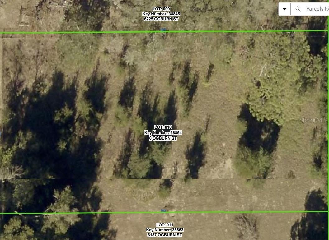 Ogburn St., Brooksville, FL 34602