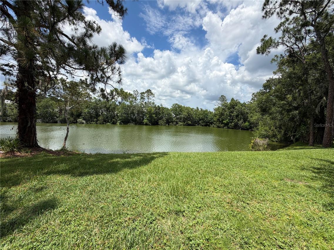 15637 Morning Dr., Lutz, FL 33559