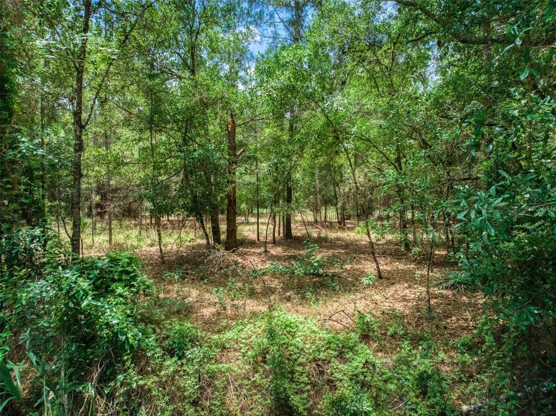 5101 Whippoorwill Rd., Sebring, FL 33875