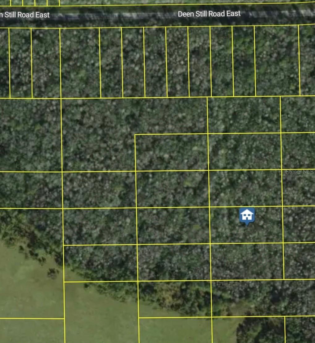 Deen Still Rd., Polk City, FL 33868