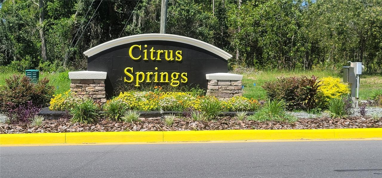 10339 N G Martinelli Blvd., Citrus Springs, FL 34433