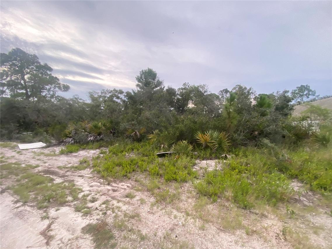 321 Brant Ave., Sebring, FL 33870