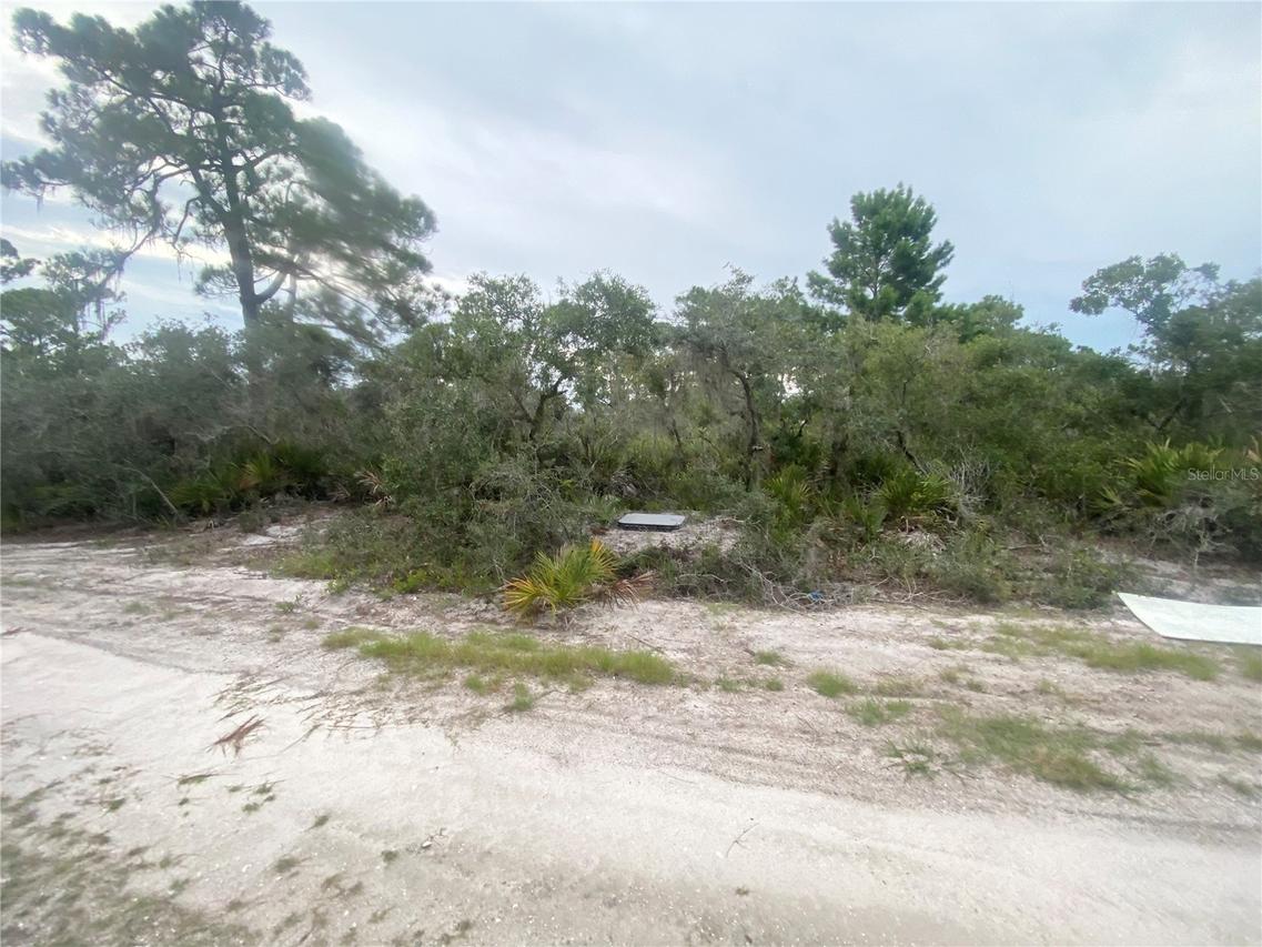 325 Brant Ave., Sebring, FL 33870
