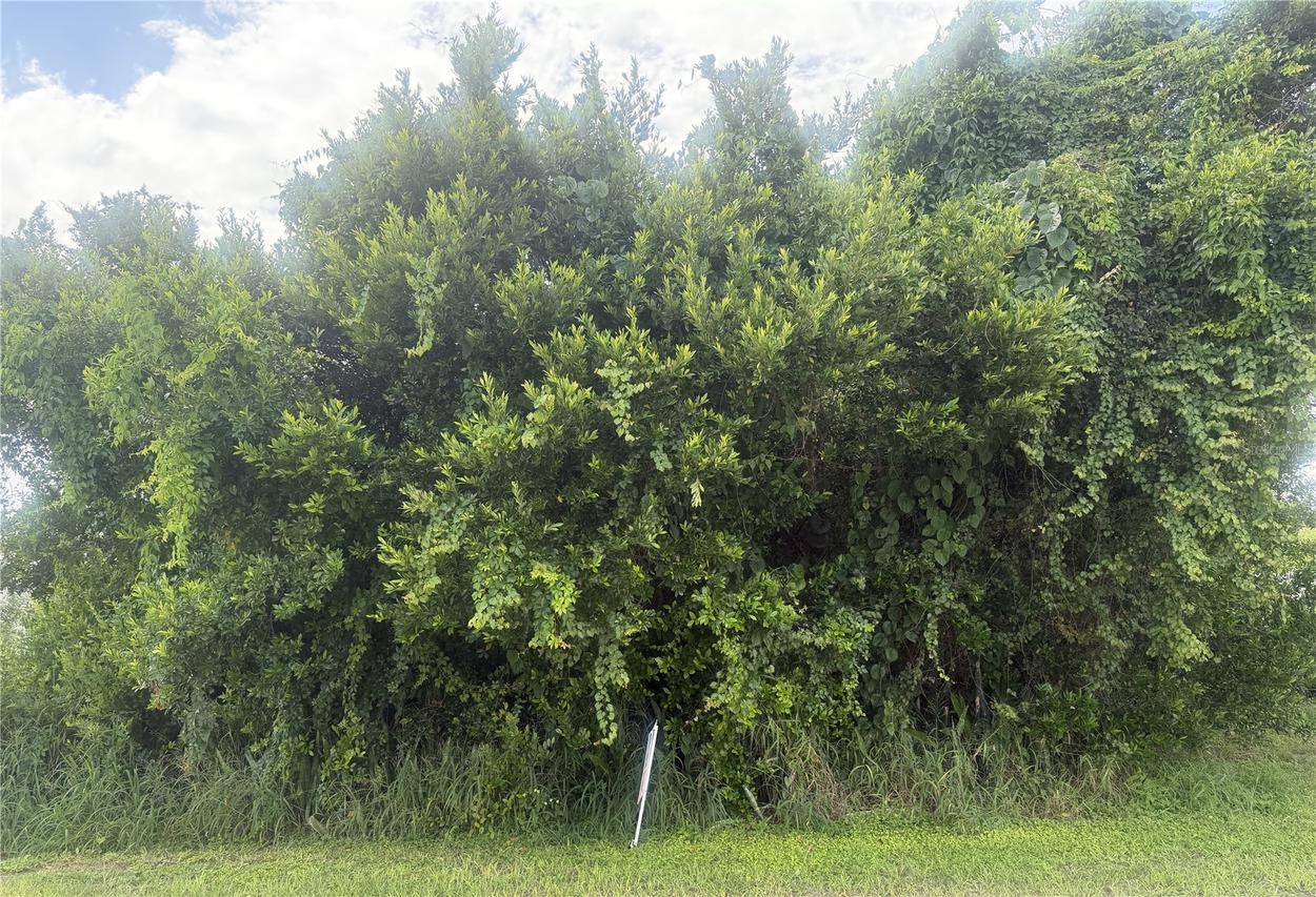 1600 E Claradge Ave., Avon Park, FL 33825