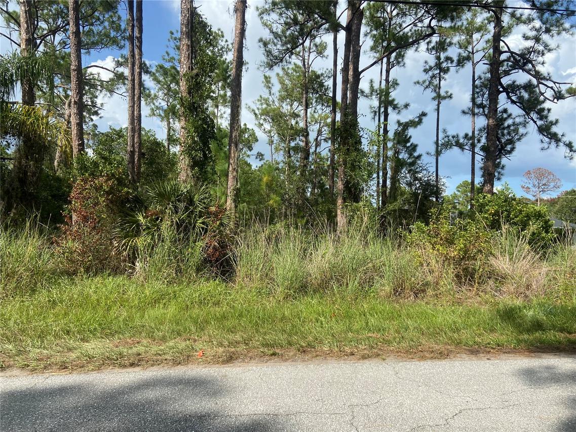 1714 Stream Ave., Sebring, FL 33875