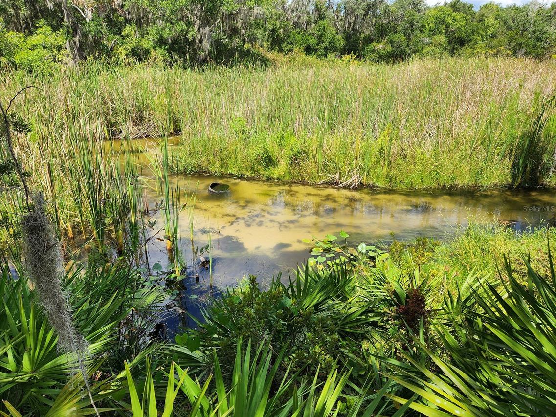 LOT 50 & 51 Deer Rd., Frostproof, FL 33843