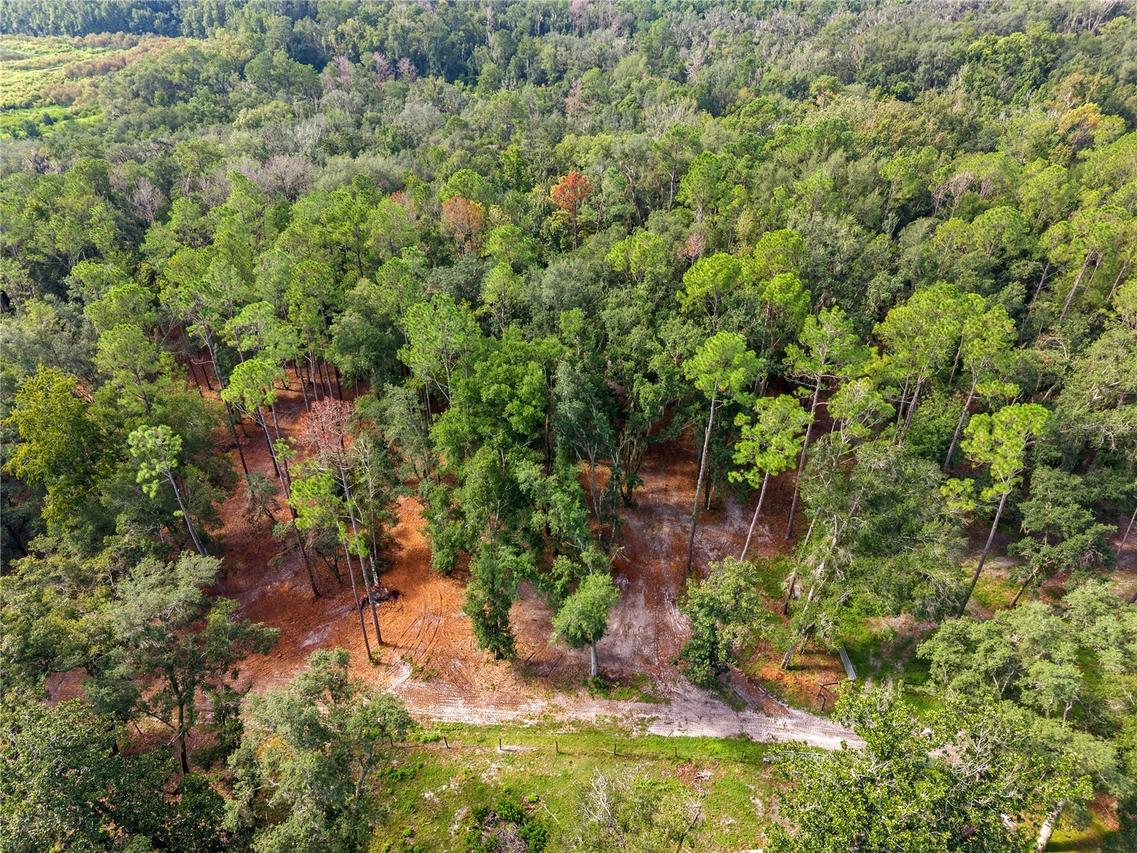 1050 Katie Wood Tr., Brooksville, FL 34602
