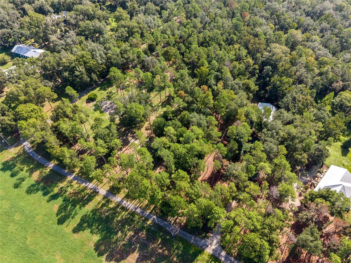 1230 Katie Wood Tr., Brooksville, FL 34602