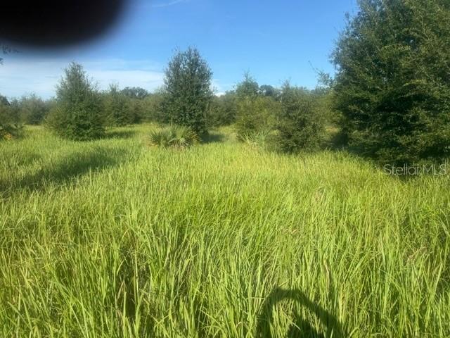 Welcome Rd. #Lot 1, Lithia, FL 33547