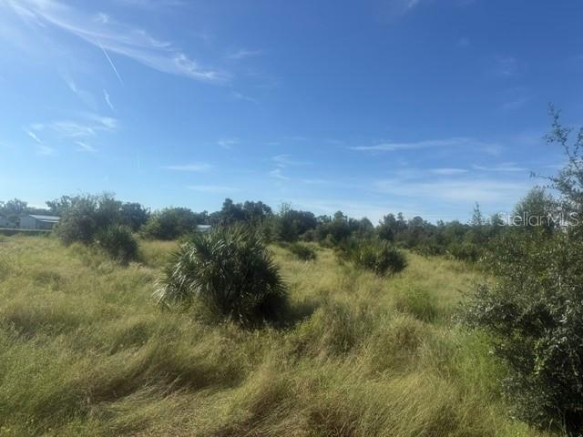 Welcome Rd. #Lot 2, Lithia, FL 33547