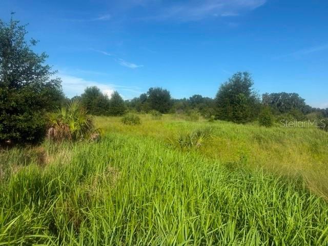 Welcome Rd. #Lot 3, Lithia, FL 33547