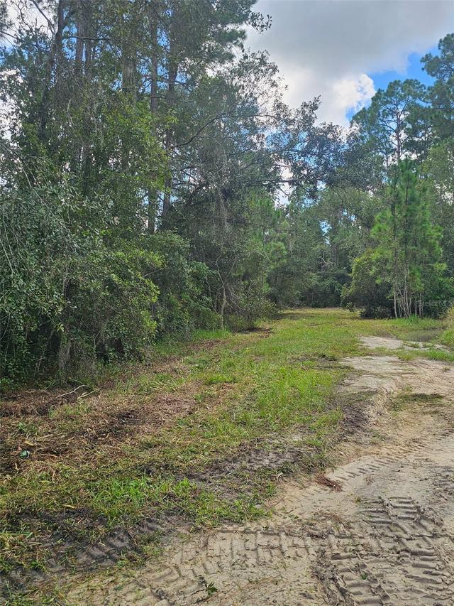 1746 Country Woods Dr., Lakeland, FL 33809