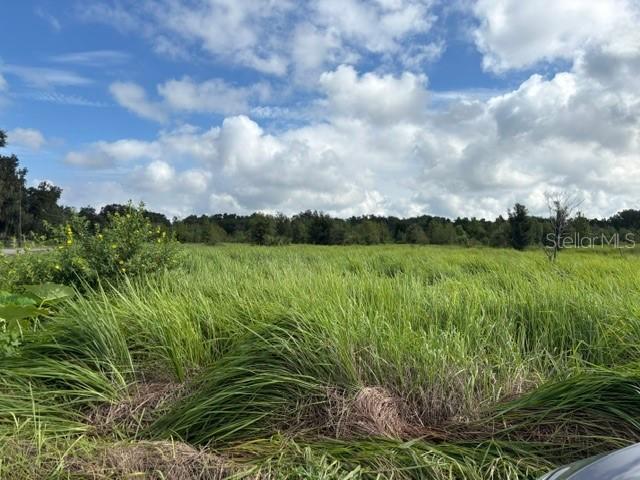 Walter Hunter Rd. #Lot 1, Lithia, FL 33547