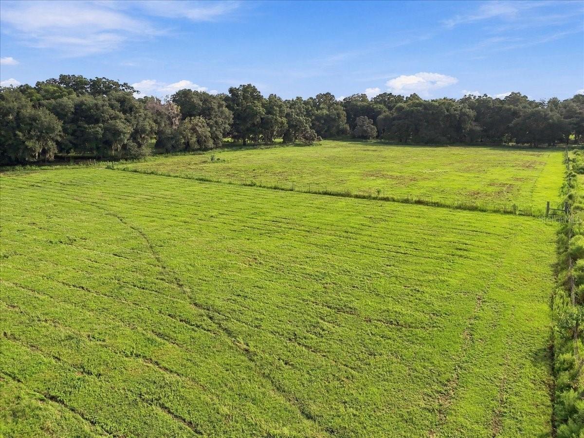 39410 Sparkman Rd., Dade City, FL 33525