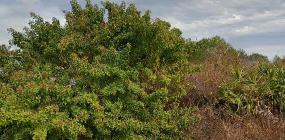 6010 Elaine Ave., Lehigh Acres, FL 33971
