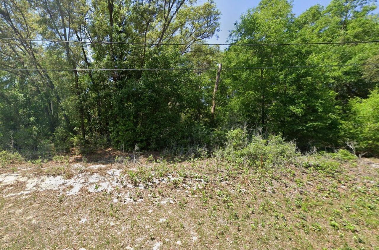 Guava Pass Ln., Ocklawaha, FL 32179