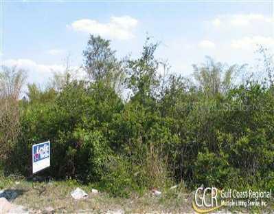 Mary Ann Dr., Wimauma, FL