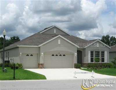 2378 E 123rd Pl., Parrish, FL 34219