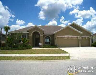 11409 Summit Rock Ct., Parrish, FL 34219