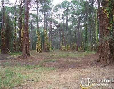 45th St., Bradenton, FL 34208