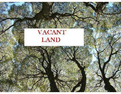 1728 36th St., Sarasota, FL 34234