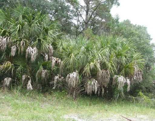 Firebrand Rd., North Port, FL 34288
