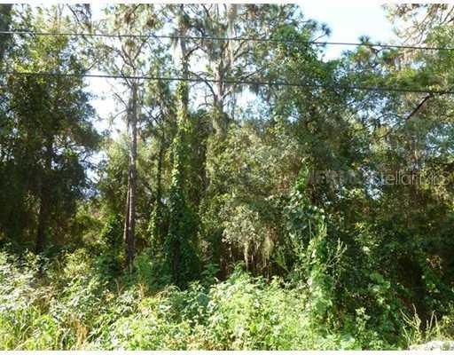 1259 Hagle Park Rd., Bradenton, FL 34212