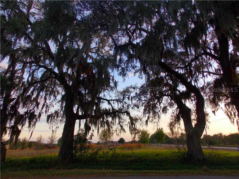 13305 65th St., Parrish, FL 34219