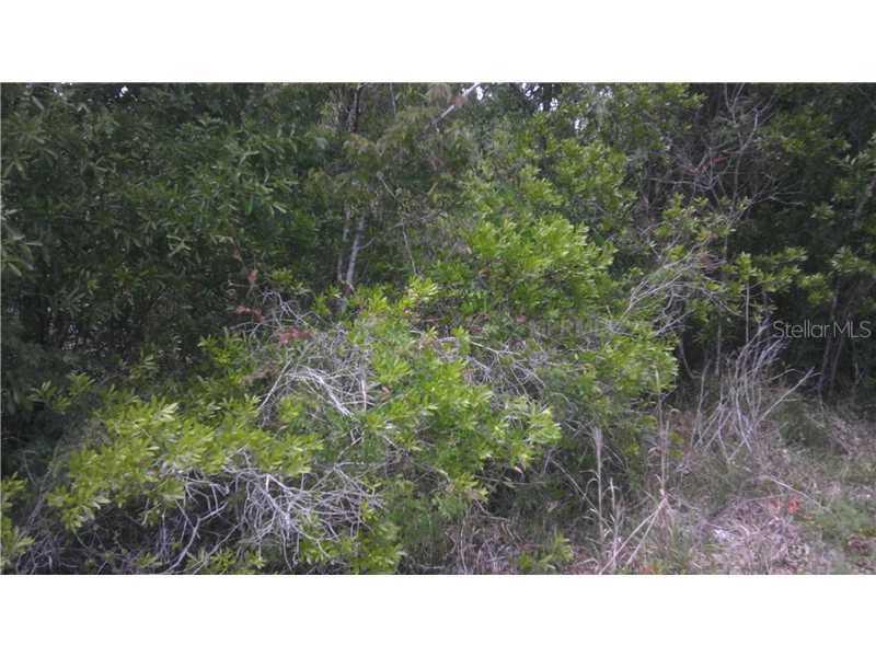 4951 SE Oats Ave., Arcadia, FL 34266