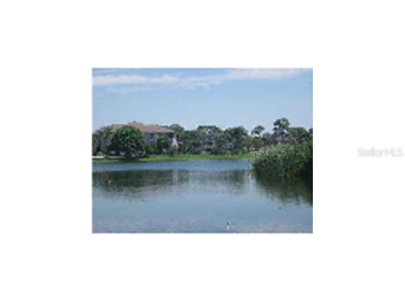 Sandpiper Pointe Ct., Tarpon Springs, FL 34689
