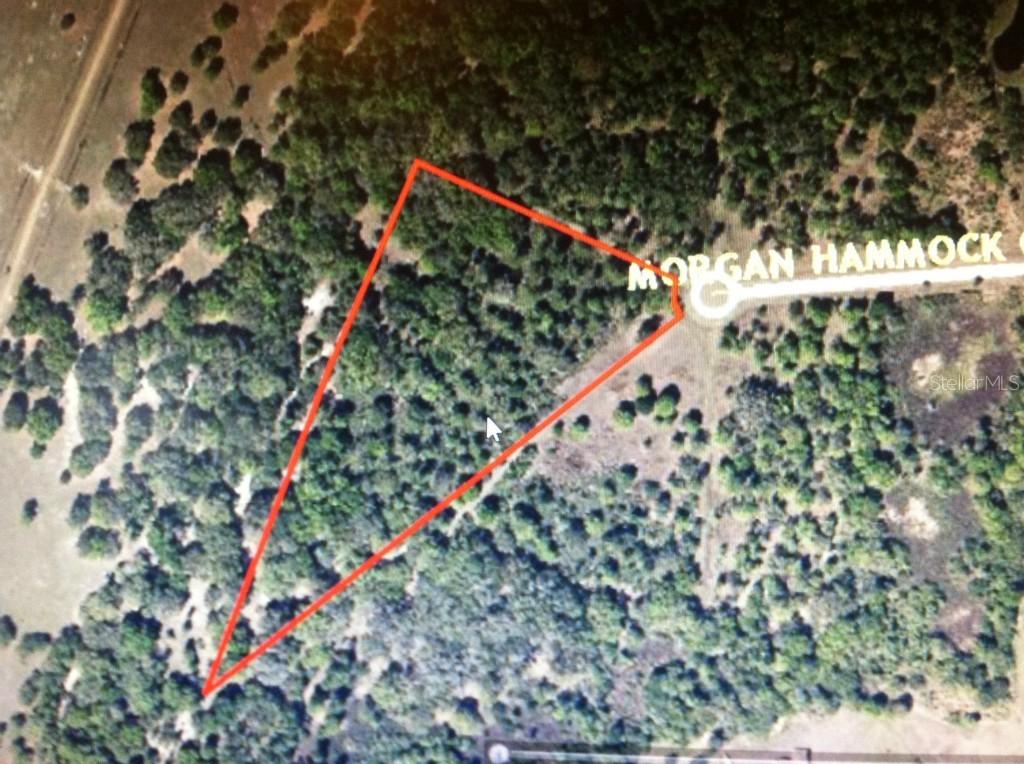 17705 Morgan Hammock Ct., Parrish, FL 34219