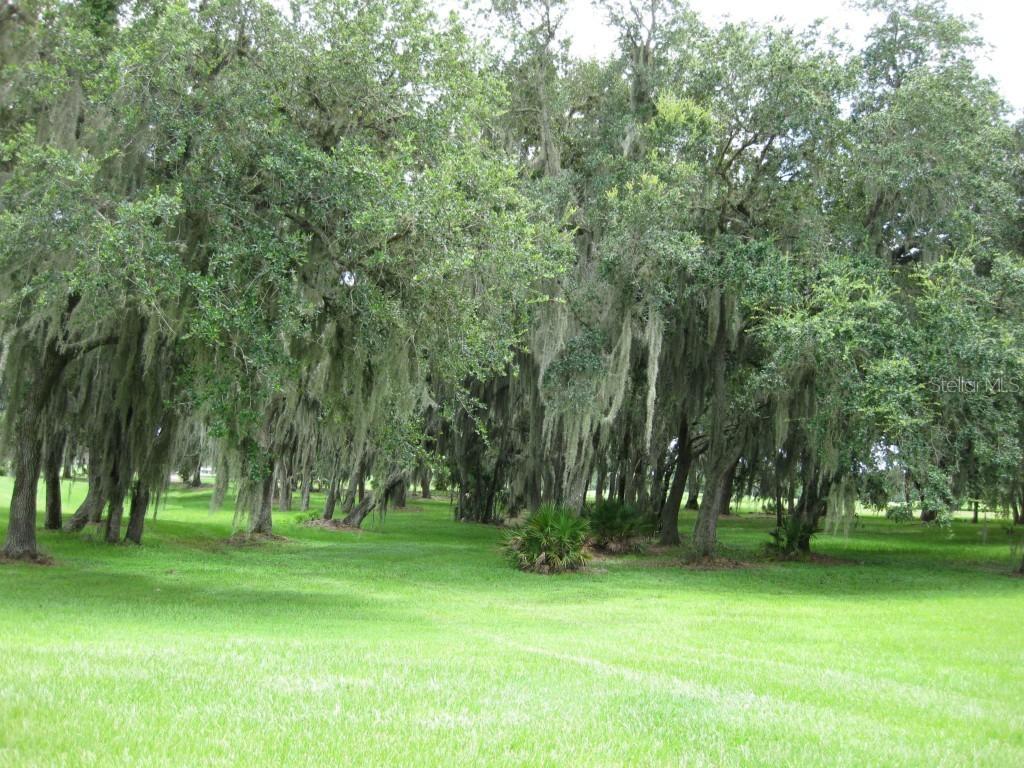 3005 Wilderness Blvd., Parrish, FL 34219