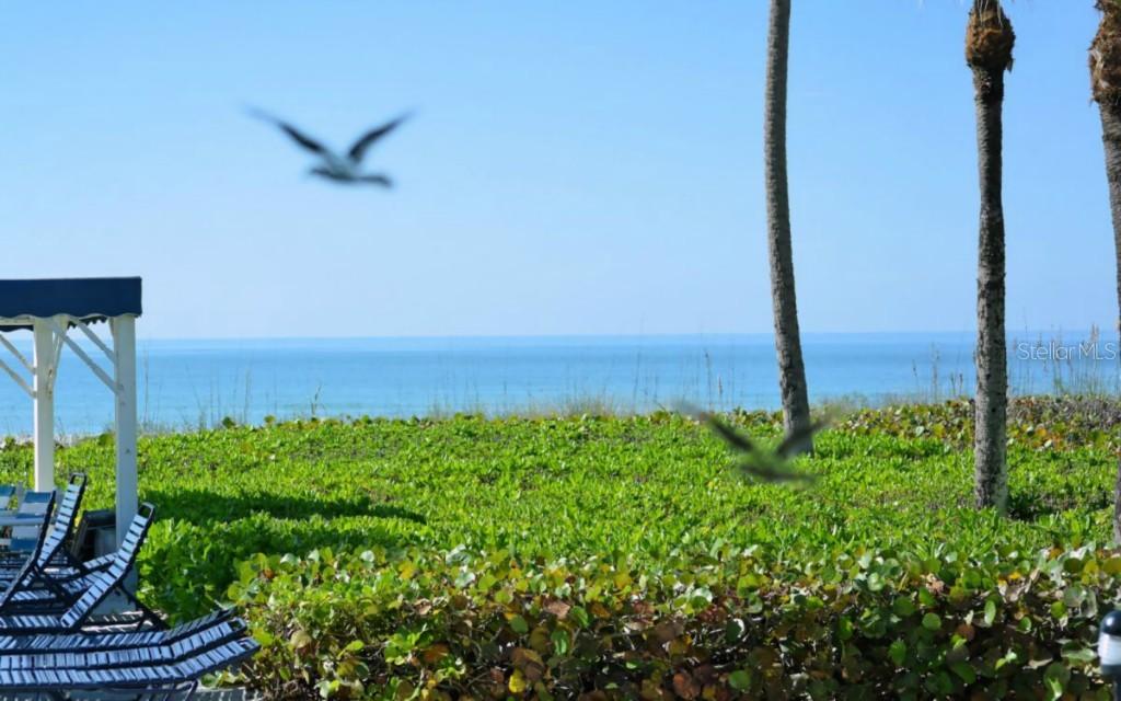 5591 Gulf Of Mexico Dr. #3, Longboat Key, FL 34228