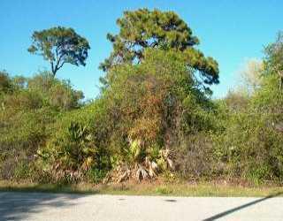 Panda Rd, Venice, FL 34293