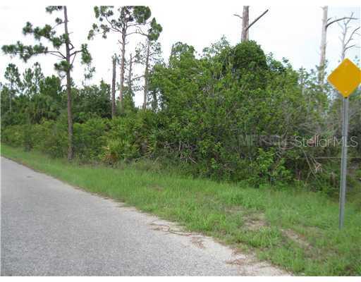 2338 Blaser St., Punta Gorda, FL 33980