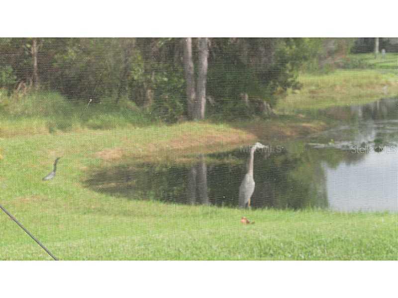 4368 Corso Venetia Blvd., Venice, FL 34293