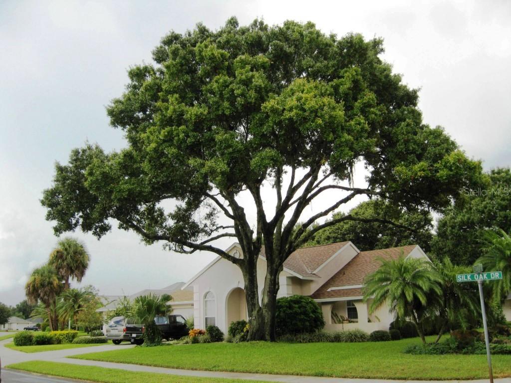 530 Silk Oak Dr., Venice, FL 34293