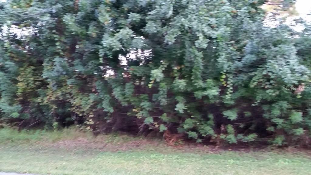 5440 Mahoney St., Port Charlotte, FL 33981